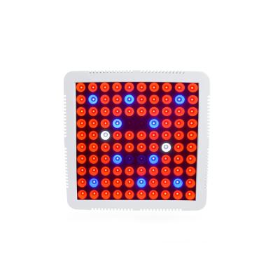 China Dimming Button Best Cheap LED Grow Light Plant Light For Plants Growing Hydroponic Growing Systems Indoors for sale