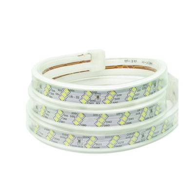 China LANDSCAPE High Brightness 110v 220v Ip67 Waterproof Led Strip For Outdoor Decoration Led Strip Lights for sale