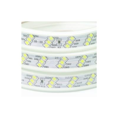 China LANDSCAPE smd 5050 110v 220v waterproof indoor outdoor decorative flexible light strip led strips for sale