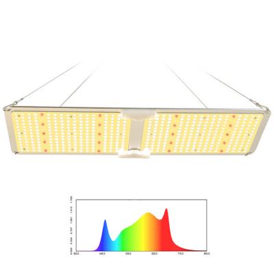 China Seed Seeding Quantum LED Grow Light 100/200/400/600W Full Spectrum Phyto Lamp for Indoor Plants Flowers Greenhouse Seedling Growth Light for sale