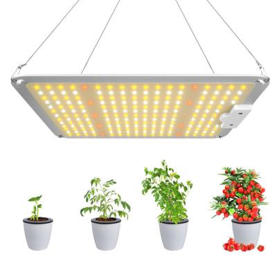 China Seed Seed Growing Quantum LED Grow Light Sunlike Full Spectrum LED Phyto Lamp For Plant Greenhouse VEG Hydroponic FLOWER Grow Light for sale