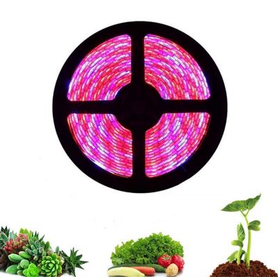 China FPCB Plant Grow Indoor Waterproof Flexible Soft Plant Light Strip LED Lamp Rope Light For Greenhouse Hydroponics Flower Seeds for sale