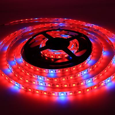 China Full Spectrum FPCB LED Lamp Phyto Grow Light Hydroponic Strip SMD5050 Plants Flowers LED Greenhouse Cultivo for sale