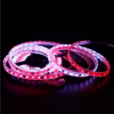 China Residential 12V Digital 5050 smd rgb led strip WS2811 60leds/m magic dreamy color led strip for sale