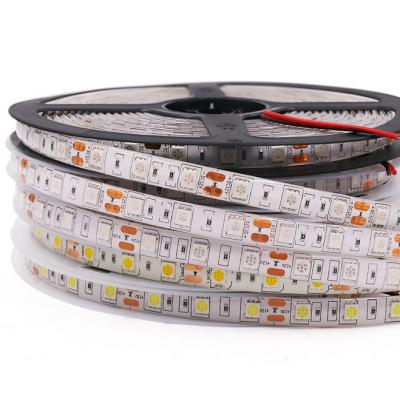 China Residential 5M 5050 LED Strip Light 60LED/Meter Input 12V Safe Strip RGB White Flexible Led Strip for sale