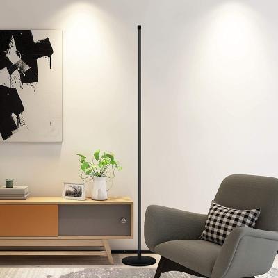 China Industrial Modern Black Non Polar Dimming Round Base Bedside LED Floor Lamp Rope for sale