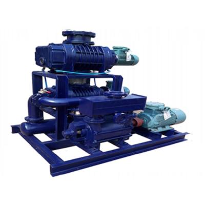 China Biofuel Power Plant Steam Turbine Industry China-made Liquid Water Ring Vacuum Pump Energy Saving Unit for sale