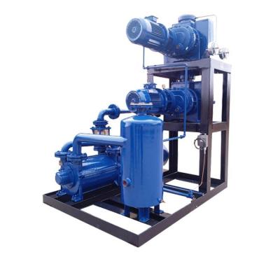 China Automotive industry factory direct sales oil free dry screw vacuum pump processing chemical pump for sale