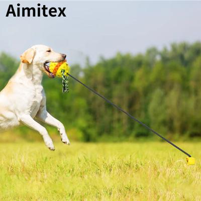 China Aimitex Wholesale New Design Dog Conflict Toy Ball Food Dispenser Ball Stocked Outdoor Dog Toys For Aggressive Chewers for sale