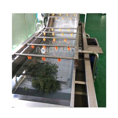 China Industrial Fruit and Vegetable Bubble Washing Line with Ozone Water Washing Machine for sale