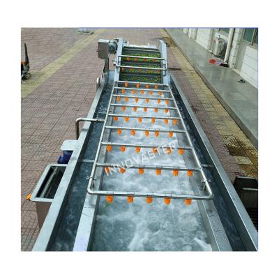 China Drying Bubble Type Brush Tomatoes Root Leafy Vegetables Washing and Drying Machine 512 KG en venta