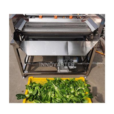 China Easy Operate Automatic Vegetable Washer Fruit Washer Peanut Bubble Cleaning Machine for sale