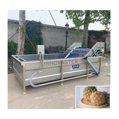 China Technology Tomato Fruit Washer Air Bubble Machine Vegetable Washing Machine for Cleaning for sale