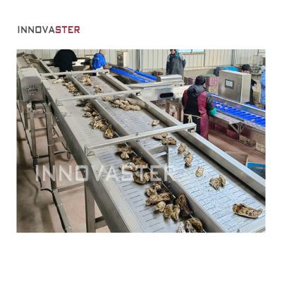 China 304 Stainless Steel Automatic Scallop Crayfish Oyster Shrimp Weight Sorting Machine for sale