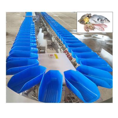 China Function Fruit Vegetable Selecting Sorting Grading Machine with 304 Stainless Steel for sale