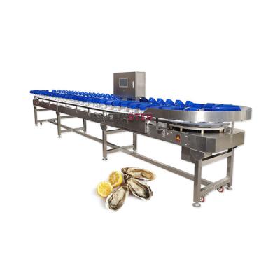 China Fruit Vegetable Selecting Sorting Grading Function for Chicken/Beef/Seafood/Fish and Shrimp for sale