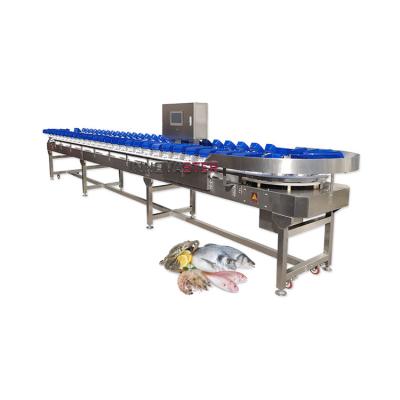 China Food Shop Conveyor Belt Type Weight Sorting Machine for Fruits and Vegetables/Fish/Seafood for sale