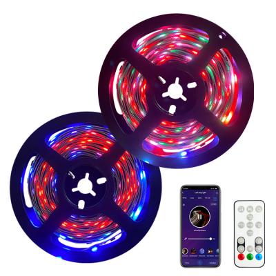 China 12V Remote Control LED Decorative Decorative Light Strip WiFi BT USB Operated Colorful RGB LED Strip Lights for sale