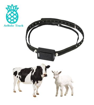 China Pets GPS Tracker Real Time Locator Europe Waterproof Electric Animals Tracker For Camel Horse Cow Sheep Solar Power 4G Tracker for sale