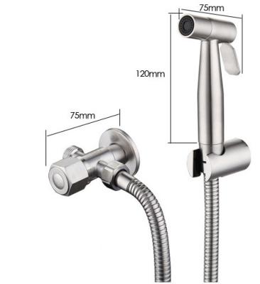 China TOILET Stainless Steel Spray Shattaf Toilet Bidet Hand Held Shower Head for sale