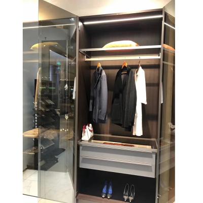 China Latest Design Modern Wardrobe Aluminum Frameless Glass Swing Closet Door for sale