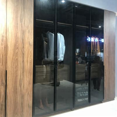 China Latest Design Modern Customized Wardrobe Interior Aluminum Frame Glass Door for sale