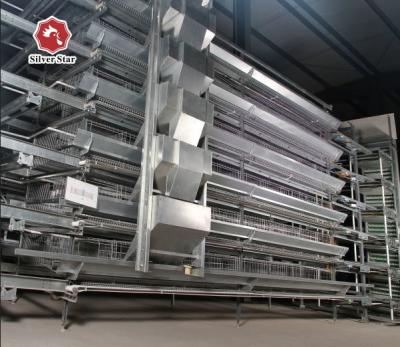 China Complete Automatic H Type Poultry Cage Battery Chicken Cage for sale