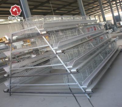 中国 Hot Dipped Galvanized Poultry Farm Layer Cage Battery 販売のため