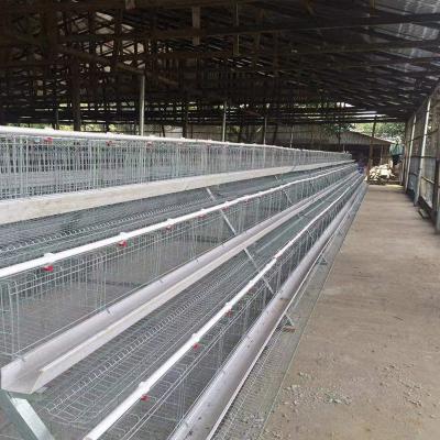 China A Type Bigger Size Chicken Egg Layer Cages New Design for sale