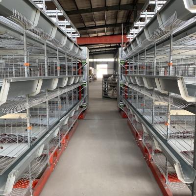 Chine Couche galvanisée de volaille poulets cage pour la ferme batterie cages pour la volaille couche de poulet à vendre