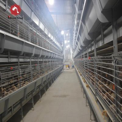 China 3 Tiers 4 Tiers H Type Broiler Poultry Farm Automatic Chicken Broilers Cage System à venda