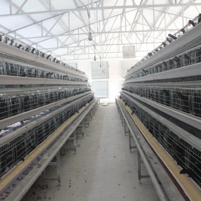 Chine Design Layer Cage Poultry Equipment Automatic 3 Tiers 4 Tiers A Type Poultry Cages à vendre