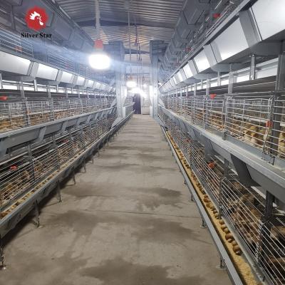 China H Type 3 Tiers 4 Tiers Poultry Farm Broiler Cage Equipment for 50000 chickens zu verkaufen