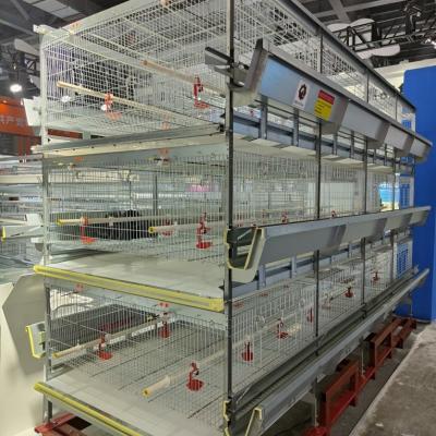 China 3 Tier H Type Pullet Cage Battery Baby Layer Chicken Cage For 50000 Birds for sale