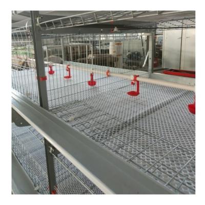 China 3 neumáticos 2150x2300x1600mm Equipo de avicultura para gallinas ponedoras Jaula de pollo en venta