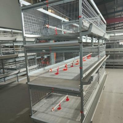 China Sistema automático de recogida de huevos incluido Crianza de aves de corral con jaula de gallina de capa de huevo en venta