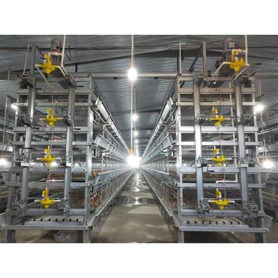 China Q235 H Type Automatic Baby Chicks Cage For Layers Pullet Cage Day Old Chicks Cage for sale