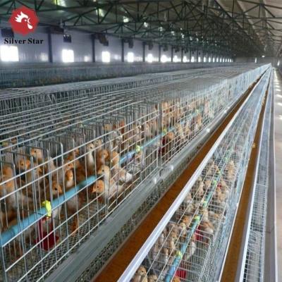 China A Type Battery Layer Chicken Cages H-Type Battery Cage And Automatic Breeding System for sale