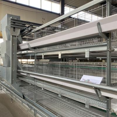 China Hot Galvanized Poultry Farming Equipment Automated Layer Chicken broiler chickenFarming Cage for sale