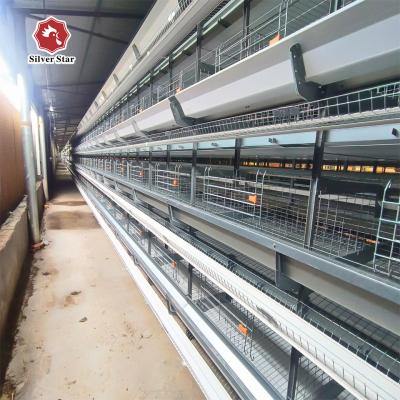 China Hot Dipped Galvanized H Type Egg Layer Chicken Cage For Sale for sale