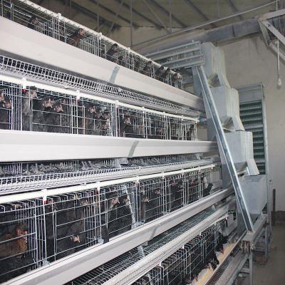 China Gallinero de pollo de la capa del HDG Q235, jaula de batería de las aves de corral de 160 gallinas de los pájaros en venta