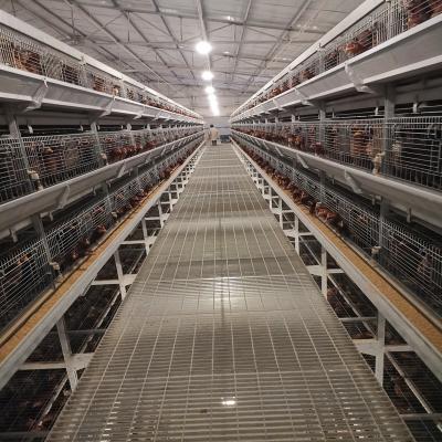 China Schicht-Batterie-Geflügelzucht des Huhn4tier, 192 Vögel SGS-Geflügelzucht-Ausrüstung zu verkaufen