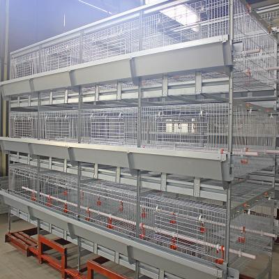 Chine Type cage de poulet de viande de 500cm2, équipement de H de volaille de grilleur des rangées ISO9001 3/4 à vendre