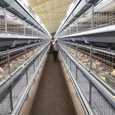 Cina Gabbia del pollo della fila del bestiame 3 di agricoltura, attrezzatura dell'azienda agricola della griglia di HDG 125kgs 208 in vendita