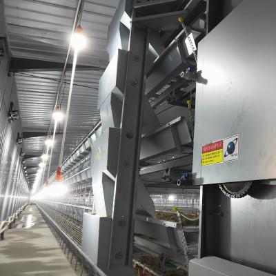 Cina sistema della gabbia in batteria del pollame di 90birds/Set 1.5m3 per i polli da arrosto YXB4H120 d'alimentazione automatico in vendita