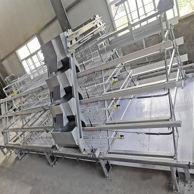 China 240 birds A Type 1 Day Old Brooding Cages For Chicks Q235 Steel Material for sale