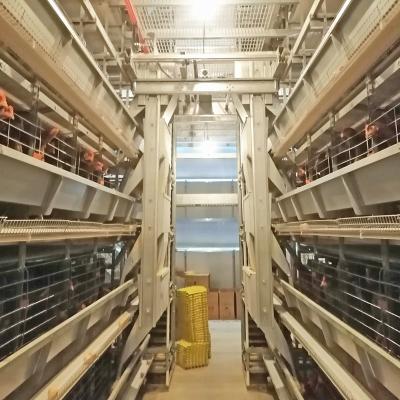 China Máquina de alimentación automática del cinc-Alu para las aves de corral, sistema de alimentación de la parrilla del SGS 1.2m m en venta