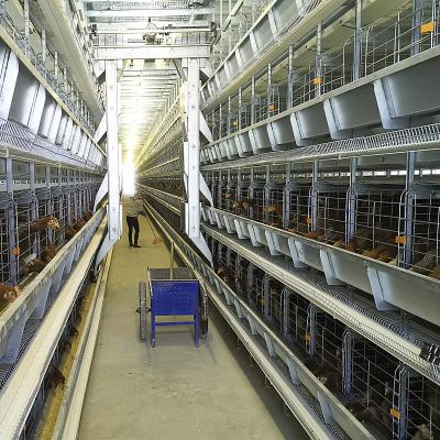 Chine Type conducteur en acier de nourriture de poulet de HDG, d'U système 3-8tiers de alimentation automatique pour des poulets à vendre