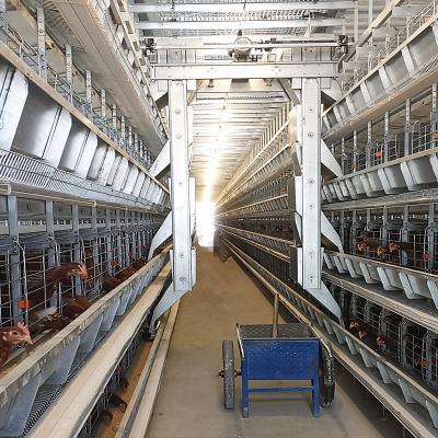 China O sistema automático H da alimentação de aves domésticas do GV 3-10layers dá forma ao uso comercial à venda