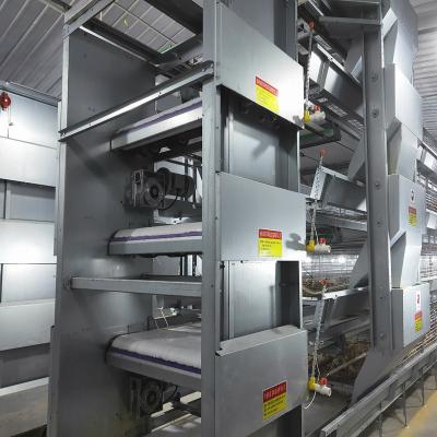 China SONCAP Farm Hopper Trolley Automatic Broiler Feeding System 380v/220v Voltage for sale